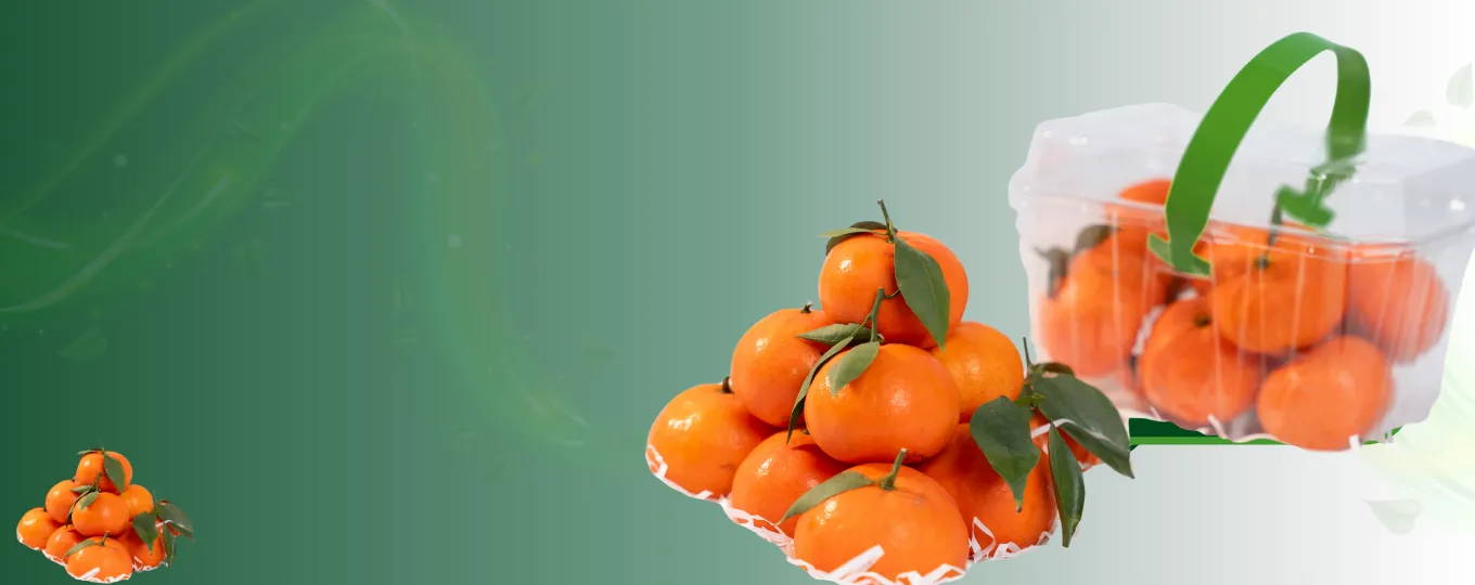 Hoa quả chất lượng cao